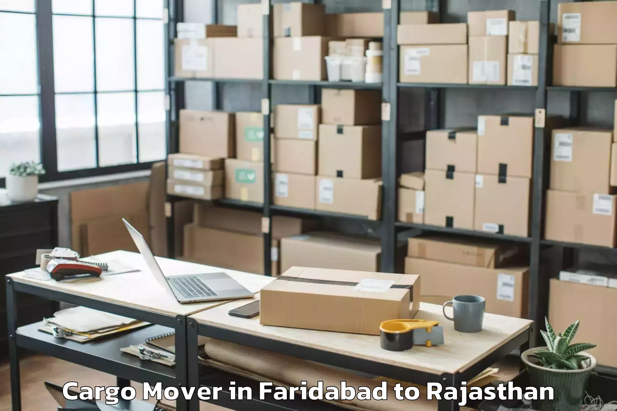 Expert Faridabad to Jalor Cargo Mover